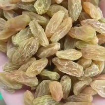 新疆葡萄干吐鲁番绿葡萄干大颗粒干度好厂家货源价格低