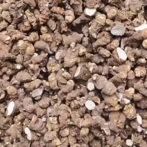 重楼干货有几万斤卖，需要的老板联系我，价格批发价长期合作