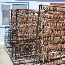 蛤蟆油