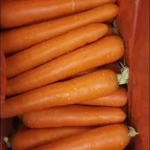 精品胡萝卜，纸箱的，质量三包，没有任何问题