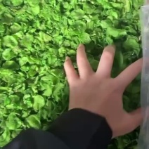 莴笋干商用农家自制莴苣干，干货干菜土特产脱水蔬菜