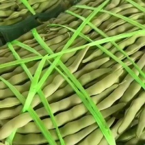 精品大青豆，诚信代办，产地直发，需要的联系我