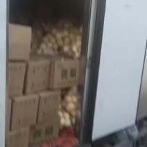山西晋中贡梨，产地一手货源，现货批发，欢迎咨询