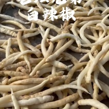 精品卜辣椒100吨食堂食材下饭菜湖南特产