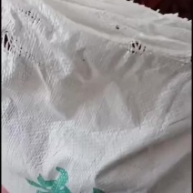 精品，三樱椒