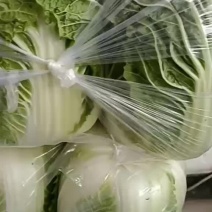 精品黄心菜