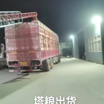 东北黄豆大豆筛粮塔粮都可以