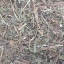 薄荷切断