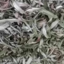 小艾叶