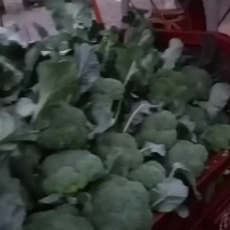微笑面对蔬菜代办，有西兰花？，散花，有茄子，黄瓜，毛冬瓜