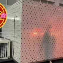 厂家直销移动冷库，