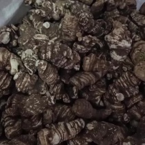 华重楼干货，常年有售，自产自销，产地为四川省雅安市石棉县