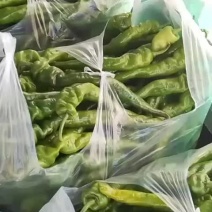 螺丝椒有需要联系