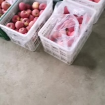 陕西红富士苹果