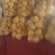 奶油富士和红富士苹果高次果！