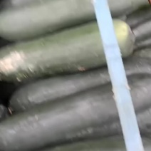 黑皮冬瓜