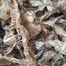 蛇蜕蛇皮一手货源欢迎联系采购量大从优