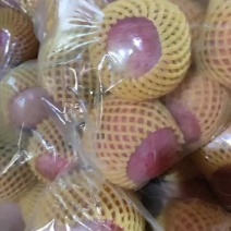 高残寒富