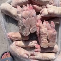 母猪二级蹄-质量如图，每天生产，随时欢迎客户到厂看货