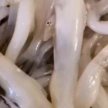 有机大银鱼