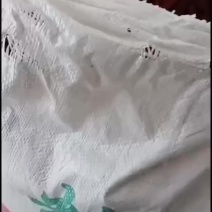 干辣椒