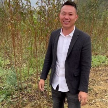 贵州安顺六马正宗蜂糖李子苗嫁接苗果树苗批发