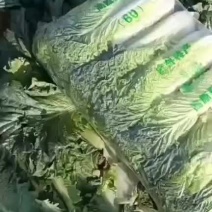 竹筒白菜超靓3毛上车
