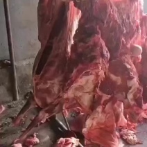 西门塔尔牛肉