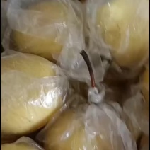蜜梨
