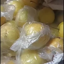 蜜梨