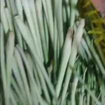 泰国香茅草批发柠檬香茅草
