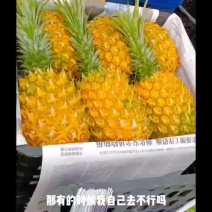 《菠萝产地直发》承接电商团购市场一级加工厂加工