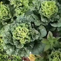 有需要的请打电话联系？