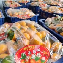 沙糖桔