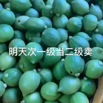 惠州香水柠檬