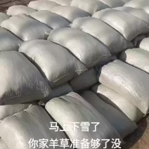 春花生秧