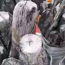 木炭