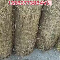 三农稻草帘草绳