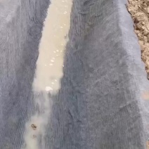 水泥毯，使用于鱼塘护坡人工湖护坡公路铁路护坡，尾矿护坡沟