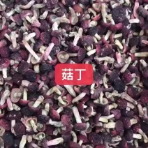 野生红菇小菇蕾小菇蕾小菇蕾小菇蕾小菇蕾
