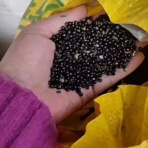 要品质货找我