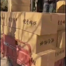 正宗富平柿饼