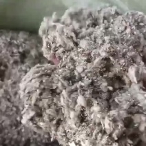 工厂级棉渣