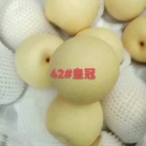 河北石家庄市晋州市各种之乡