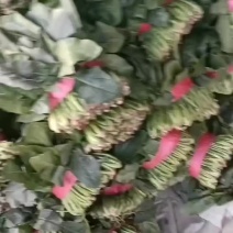 一级菠菜