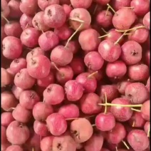 河北精品山楂