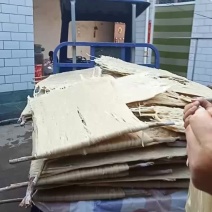 精品红薯粉条