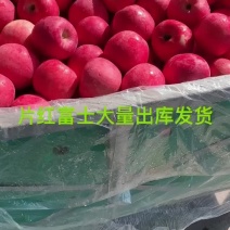 秦安高海拔山区红富士，货美，价美，大量现货出库，欢迎各位