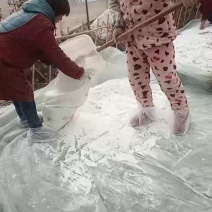 精品纯红薯粉面