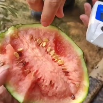 手剥小西瓜